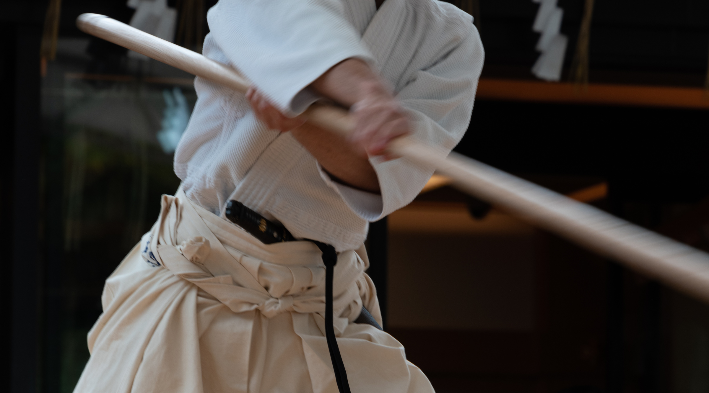 Demonstration of Japanese martial arts